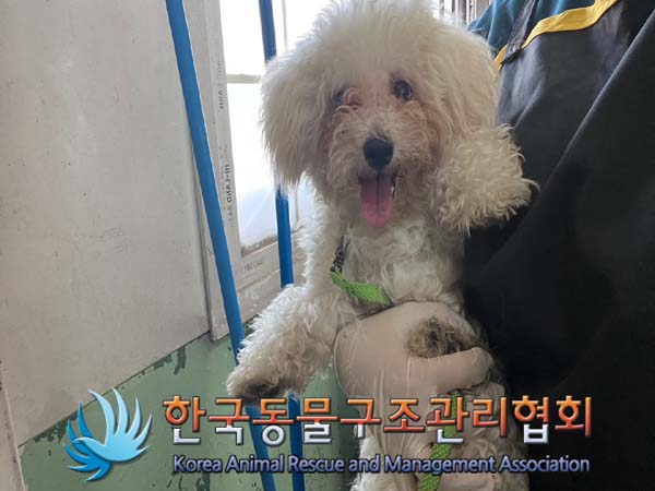 한국동물구조관리협회_411316202400718